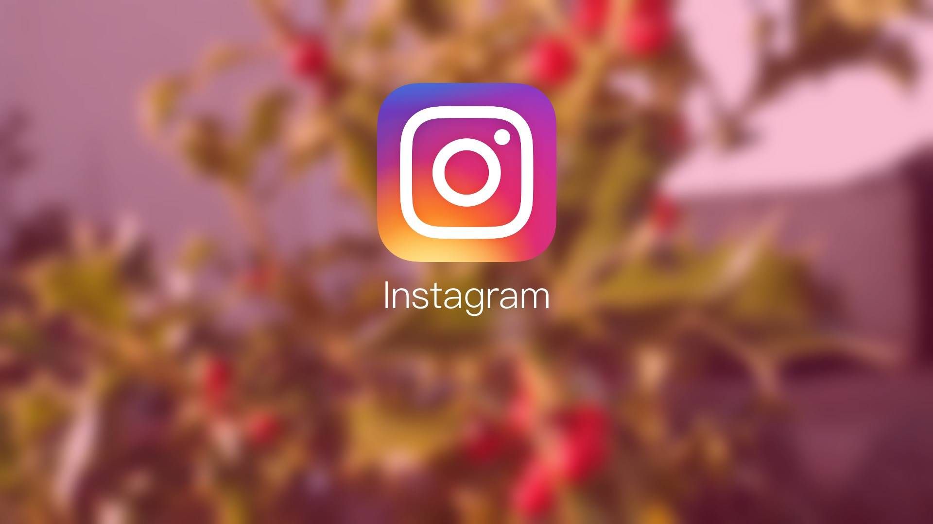 指纹浏览器可以用作Instagram的多帐户管理工具吗