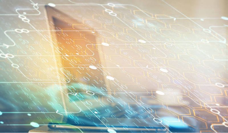 虚拟浏览器的指纹环境是独立的吗?