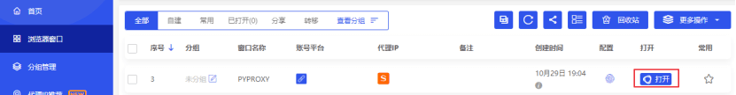 比特浏览器