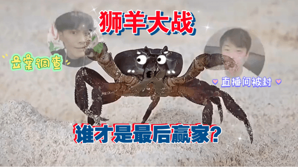 辛巴VS三只羊，頭部主播因何開撕？