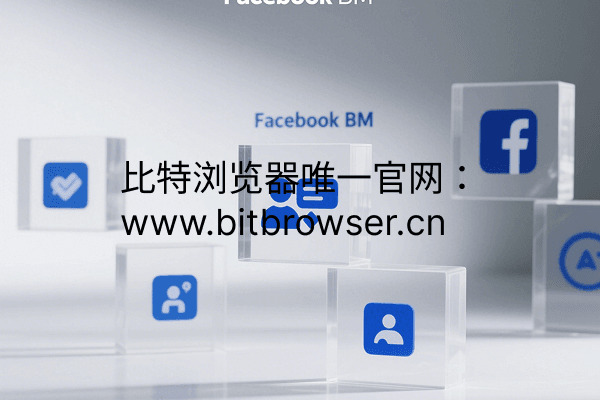 Facebook BM账户：高效管理广告投放的核心工具