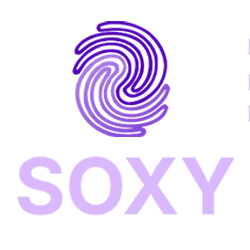 Anti-detect BitBrowser