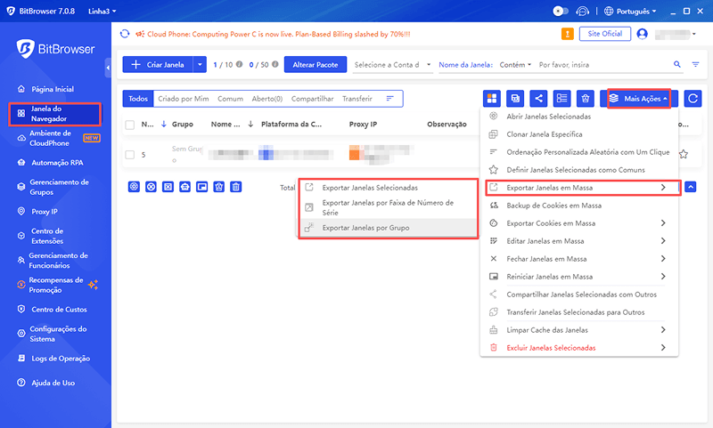 Importação / Exportação em Lote