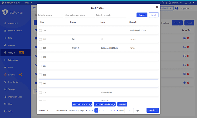 BitBrowser Bind Proxy with a Profile