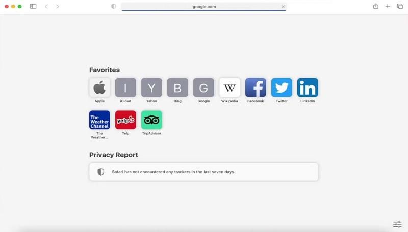 Safari Interface